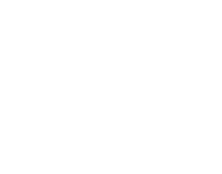 Blue Horse Logistics logo